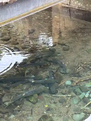 丸池神社(山形県)