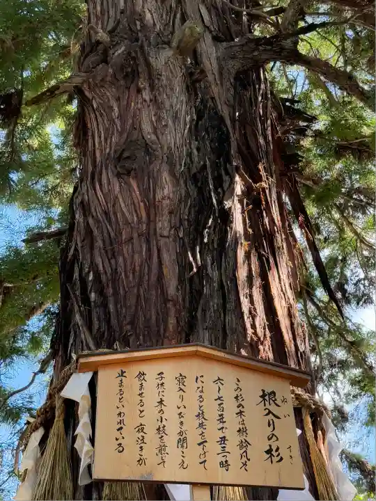 諏訪大社下社秋宮(長野県)