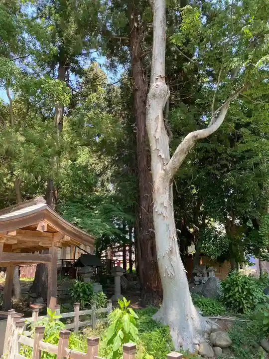 菅田天神社(山梨県)
