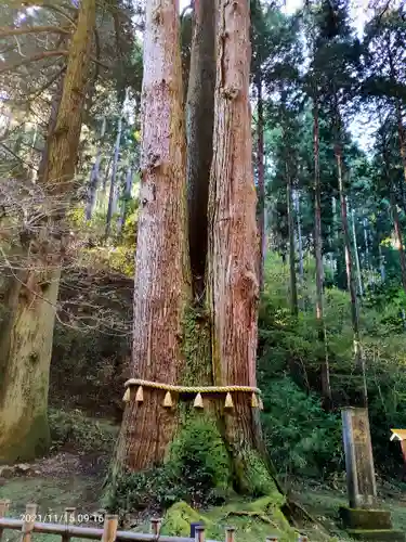 御岩神社の自然