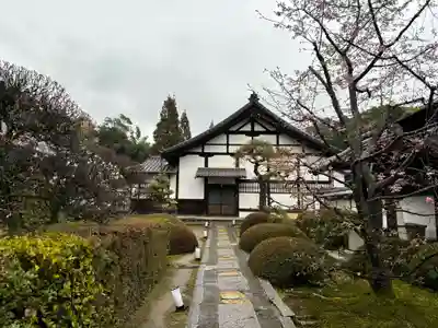 雲龍院の庭園