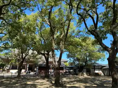 東寺（教王護国寺）(京都府)