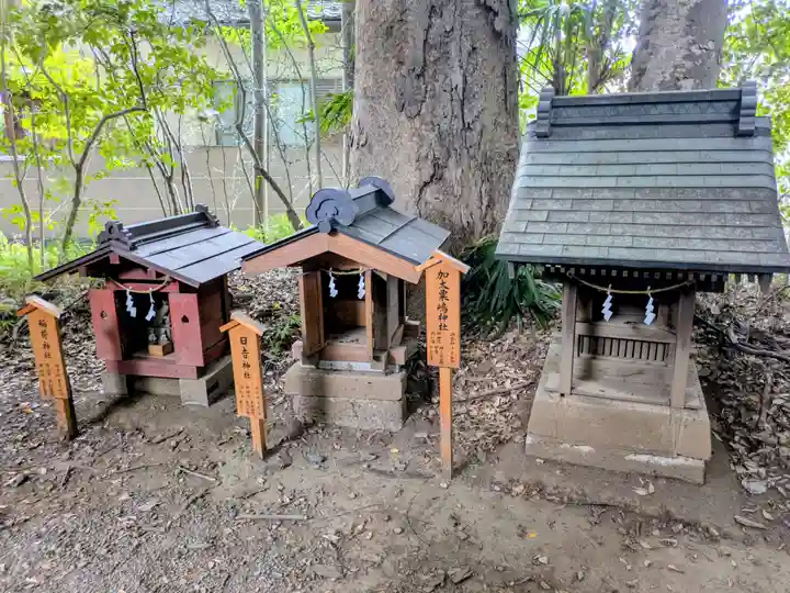川越氷川神社(埼玉県)