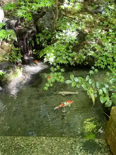 光明寺瑠璃光院(京都府)