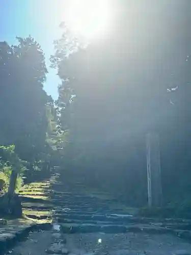 平泉寺白山神社(福井県)