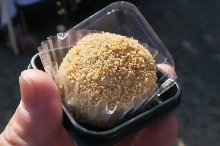 百萬遍知恩寺(京都府)