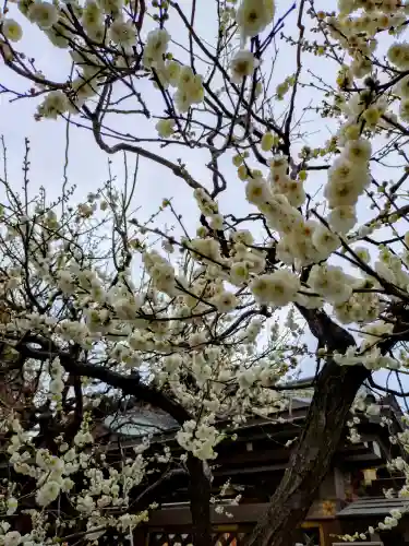 湯島天満宮(東京都)