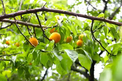 三津厳島神社(愛媛県)