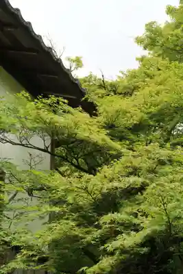 曼殊院門跡(京都府)