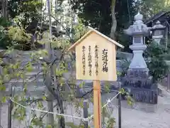 天満神社の自然