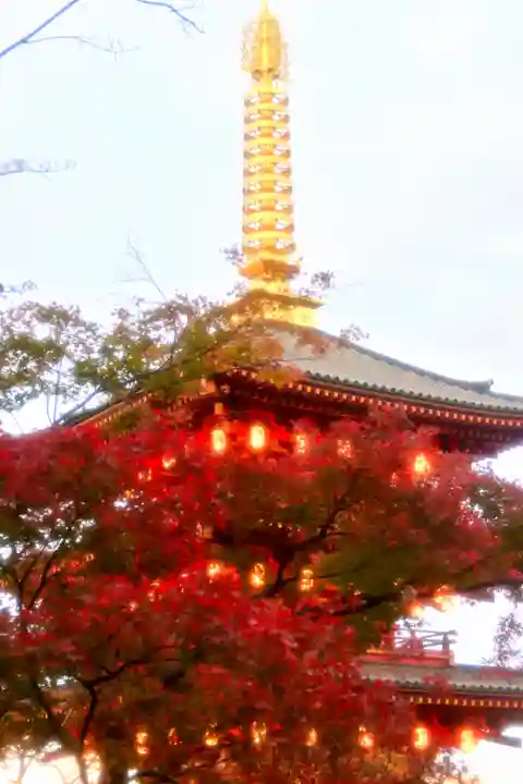 高幡不動尊 金剛寺(東京都)