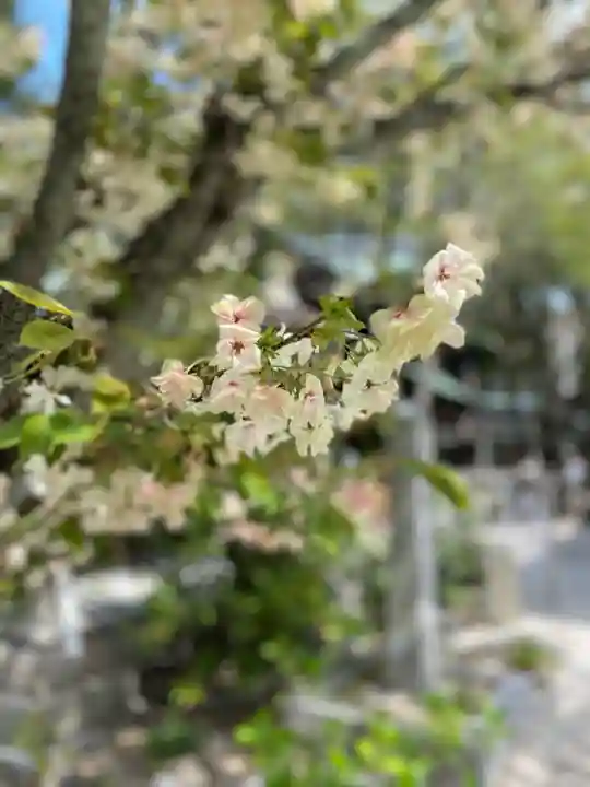 白峯神宮の自然