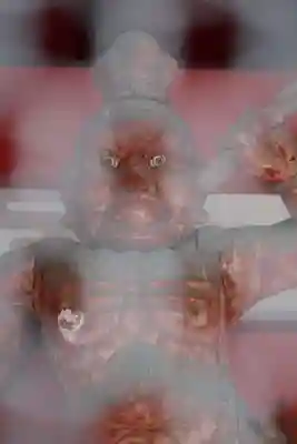 高山寺(兵庫県)