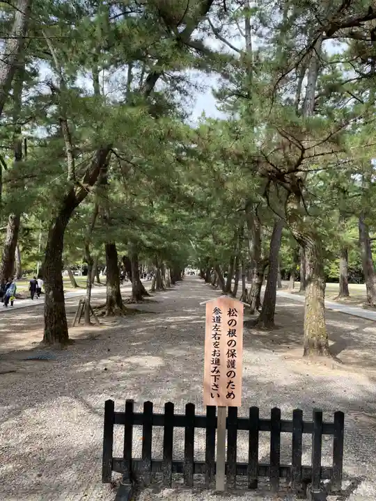 出雲大社(島根県)