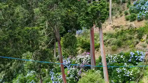 三鈷寺(京都府)