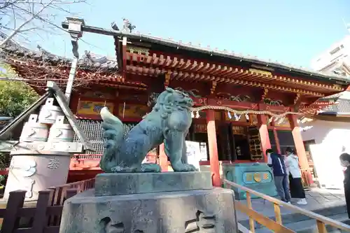 浅草神社の狛犬