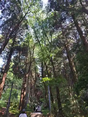 上色見熊野座神社(熊本県)