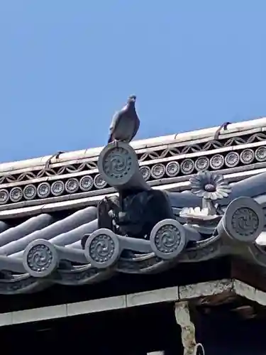 東寺（教王護国寺）のその他建物