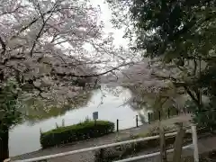 埼玉縣護國神社の庭園