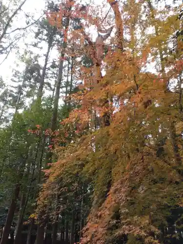 建部大社の自然