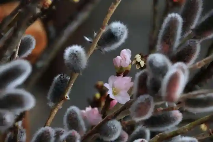 阿邪訶根神社の授与品その他