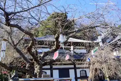 長谷寺のその他建物