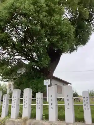 八龍神社(東八龍社)のその他建物