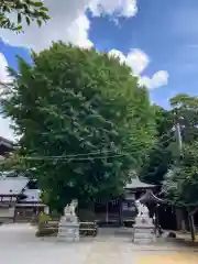 印内八坂神社(千葉県)