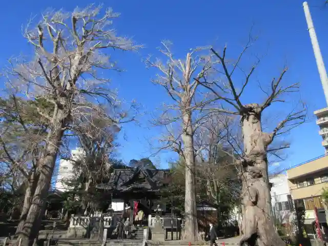 亀岡八幡宮(亀岡八幡神社)の景色