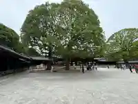 明治神宮(東京都)