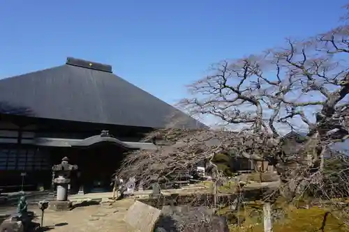 西善寺の本殿