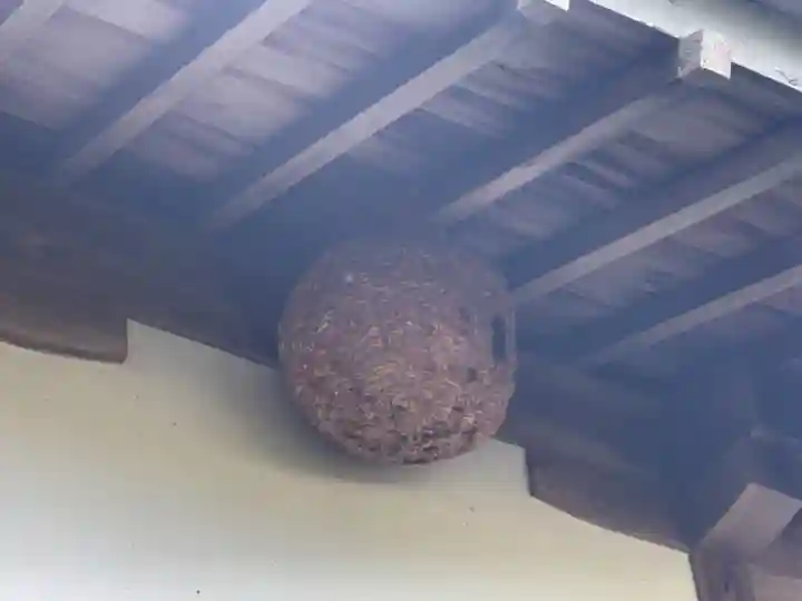 日宣寺のその他建物