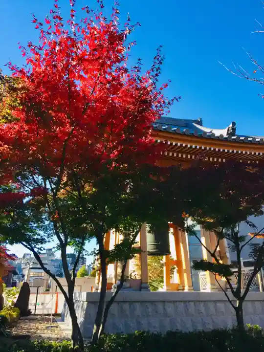 伝通院のその他建物