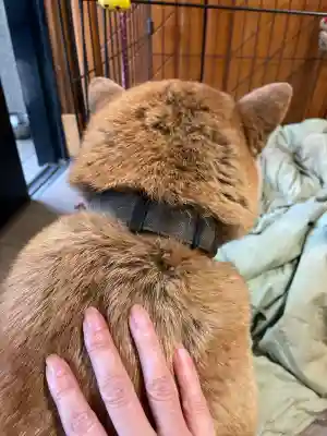笠䅣稲荷神社(神奈川県)