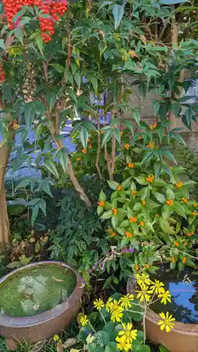 西雲院(京都府)