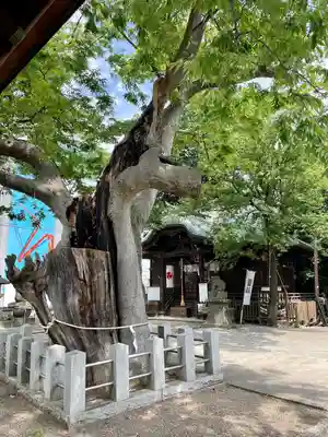 阿邪訶根神社(福島県)