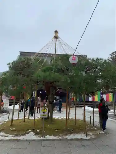 中尊寺(岩手県)