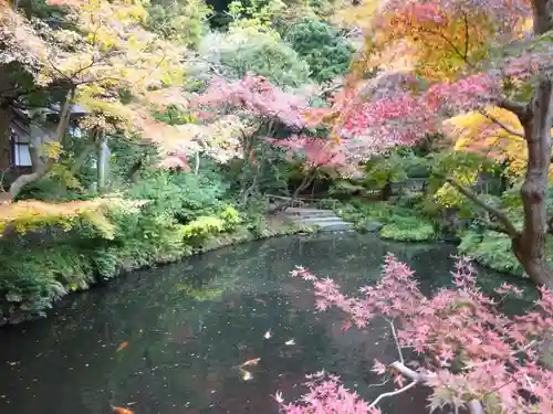 鶴岡八幡宮(神奈川県)