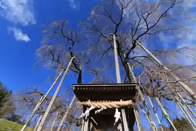 瀧桜神明宮の本殿・本堂