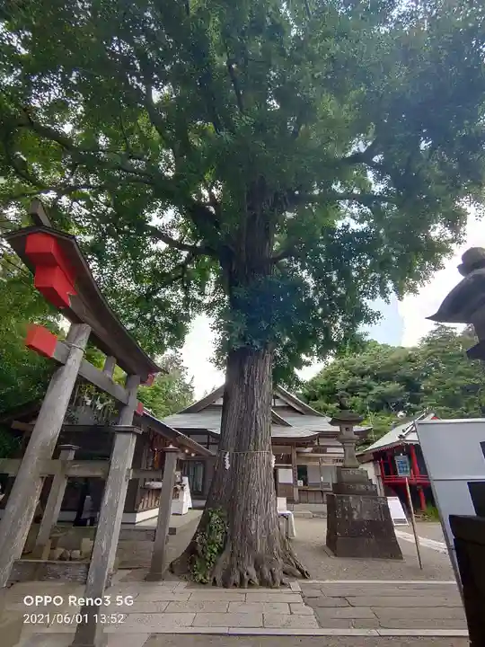 下総国三山 二宮神社のその他建物