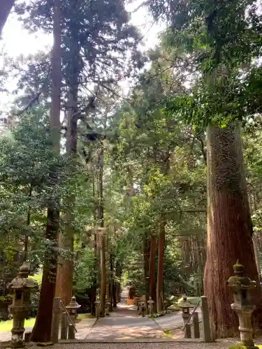 八幡神社（武芸八幡宮）(岐阜県)