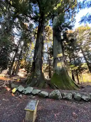 河口浅間神社(山梨県)