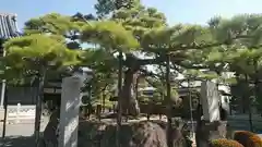 花岳寺の自然