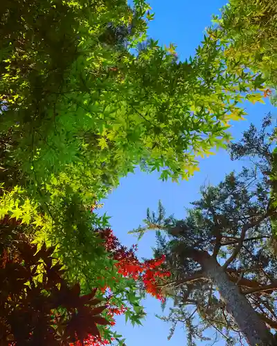 滑川神社 - 仕事と子どもの守り神の景色