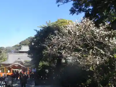 鶴岡八幡宮のその他建物