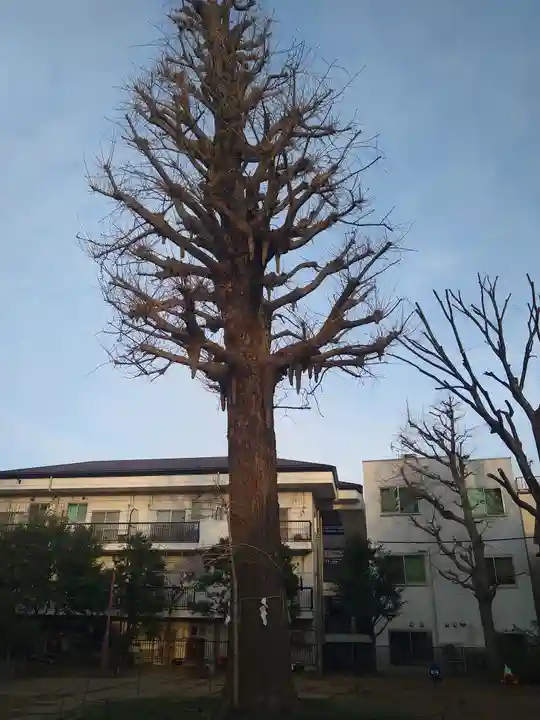 稲荷森稲荷神社(東京都)