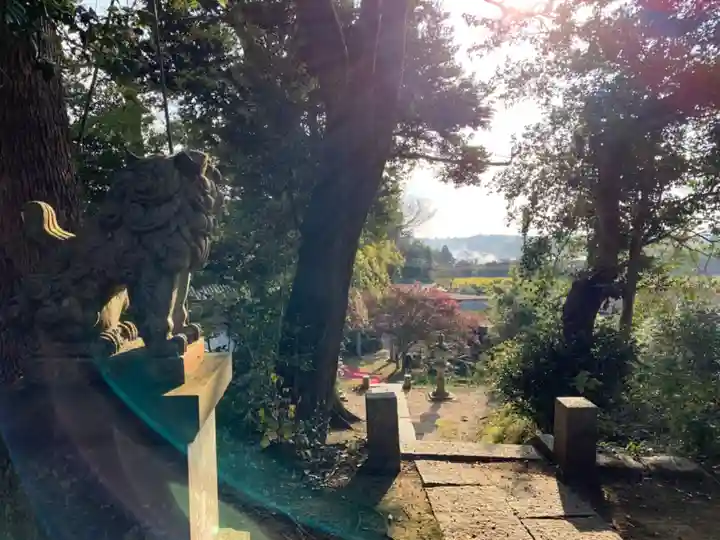 春日神社の狛犬