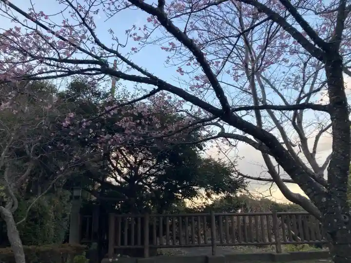 江島神社の{uncategorized: "未分類", other: "その他", undefined: "問題あり", building: "その他建物", grave: "お墓", sacred_gate: "鳥居", guardian: "狛犬", statue: "像", buddha: "仏像", history: "歴史", nature: "自然", garden: "庭園", animal: "動物", pagoda: "塔", temizu: "手水舎", mountain_gate: "山門・神門", sanctuary: "本殿・本堂", subordinate: "末社・摂社", art: "芸術", scenery: "景色", jizo: "地蔵", ema: "絵馬", goshuin: "御朱印", omikuji: "おみくじ", items: "授与品その他", amulet: "お守り", goshuincho: "御朱印帳", eats: "食事", festival: "お祭り", votive_dance: "神楽", shichigosan: "七五三参", wedding: "結婚式", experience: "体験その他", initially: "初詣", around: "周辺", anti_infection: "感染症対策"}