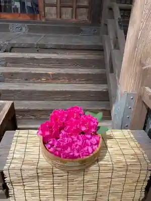 阿邪訶根神社のその他建物