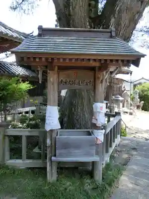 常楽寺のその他建物